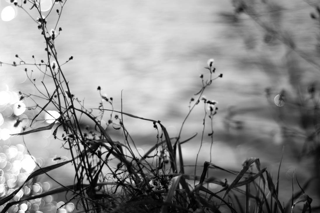 Aquatic Overgrowth by MyMindRunsAstray on DeviantArt