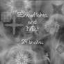 Snowflakes and Mist brushes