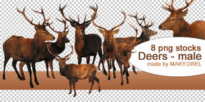 PNG STOCK SET: Deer 2