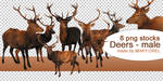 PNG STOCK SET: Deer 2 by MAKY-OREL