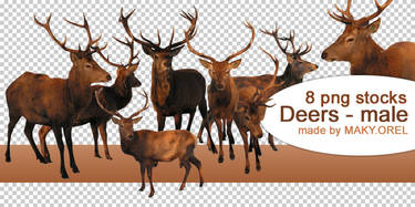 PNG STOCK SET: Deer 2