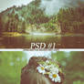 Coloring PSD-1