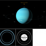 Neptune Rings