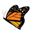 Butterfly Motion Guide Thing