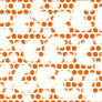 cheetah print orange