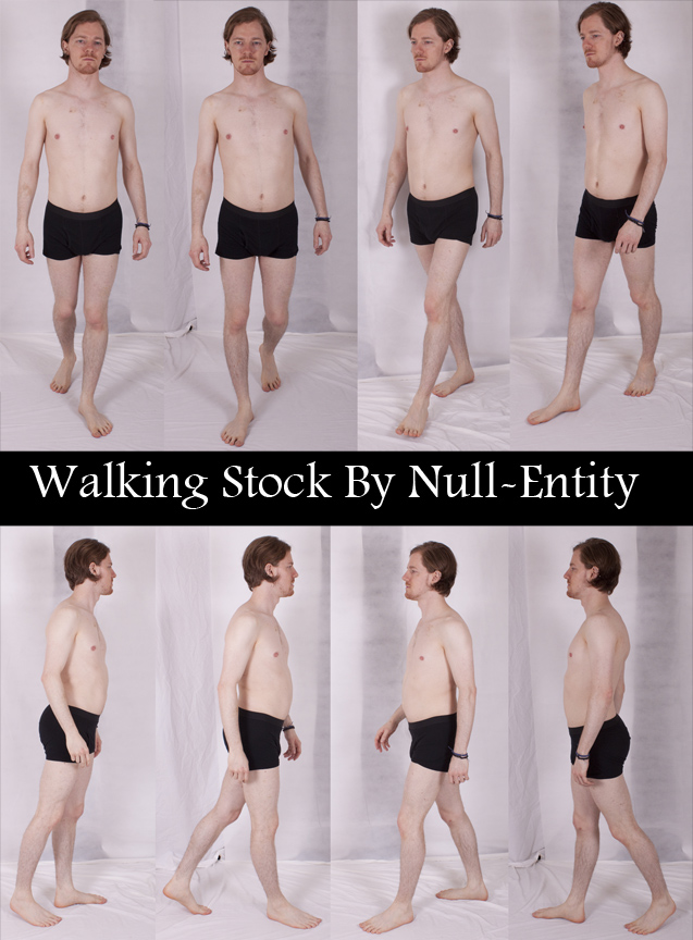 Walking Stock