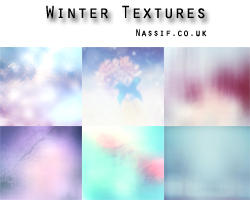 Winter Textures