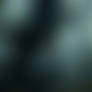 Whispers of a Dryad 1