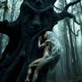  A wood nymph tree dryad merging for rescue
