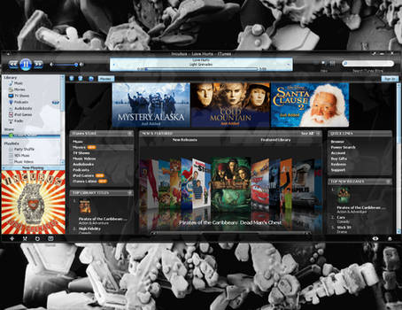 iVista skin for iTunes 7