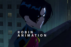 Robin Animation