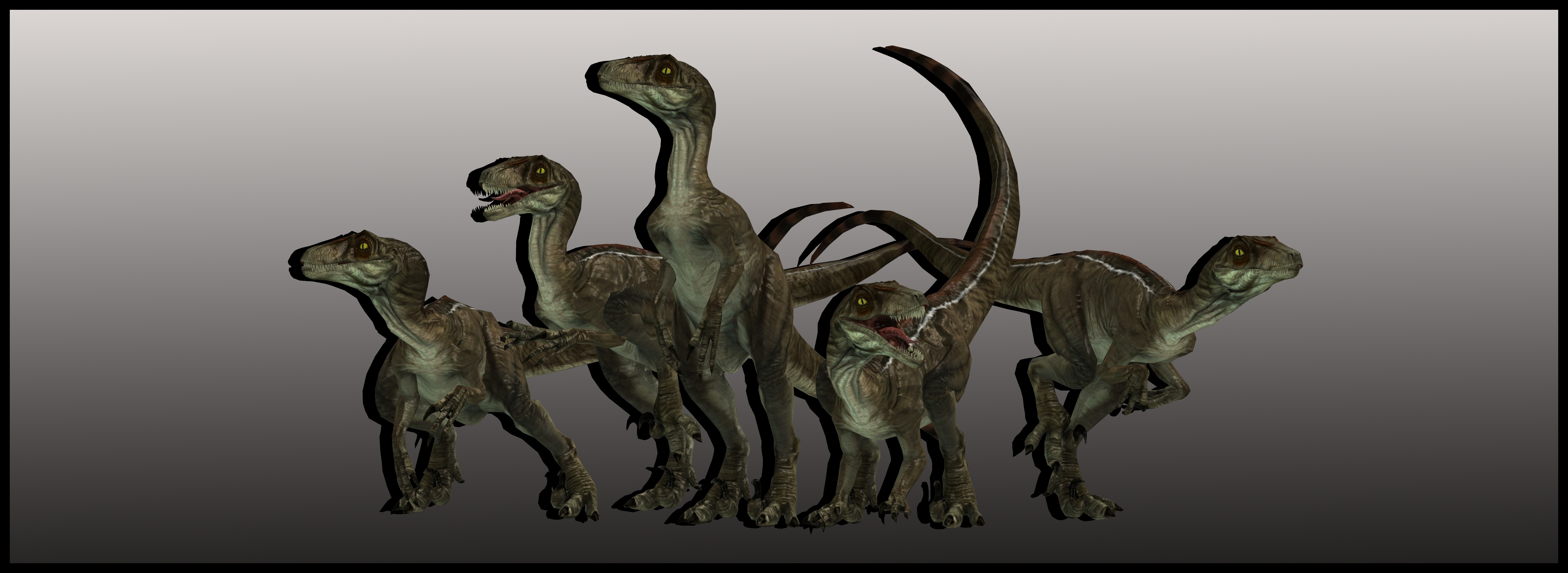 Novaraptor - 5 Poses