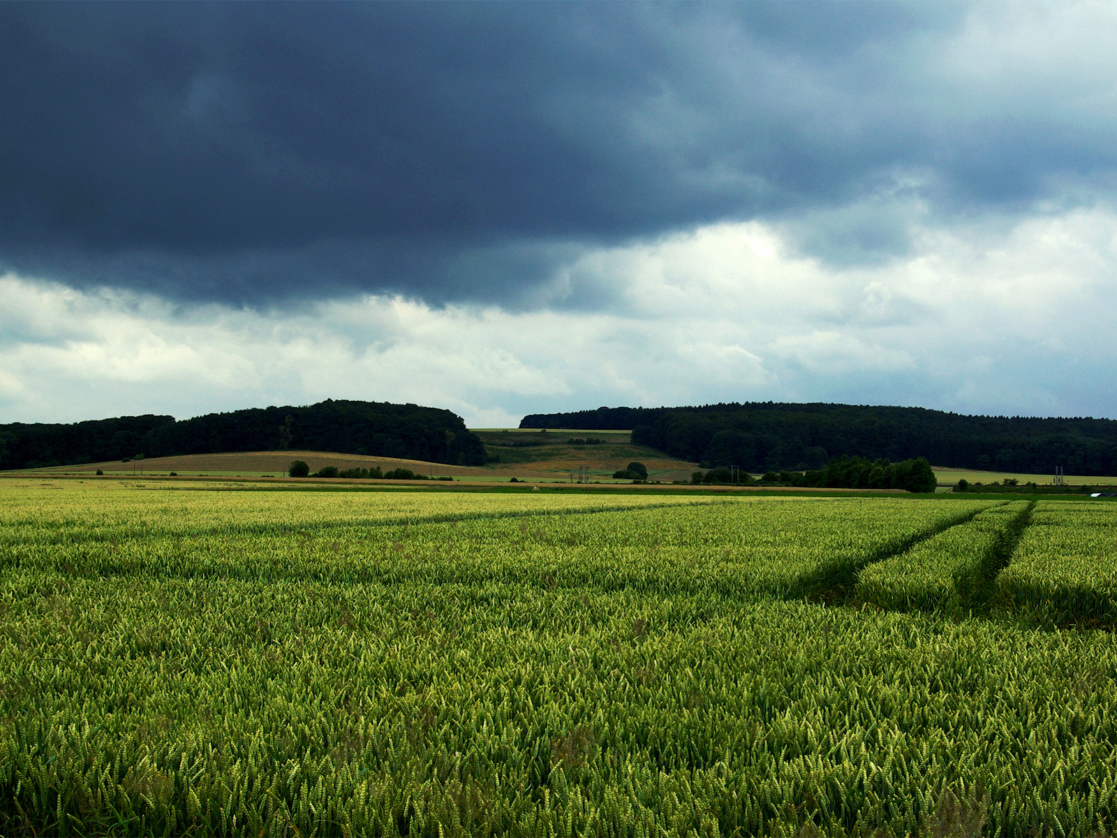 Behind The Storm.GAIA