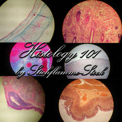 Histology 101 Stock Pictures