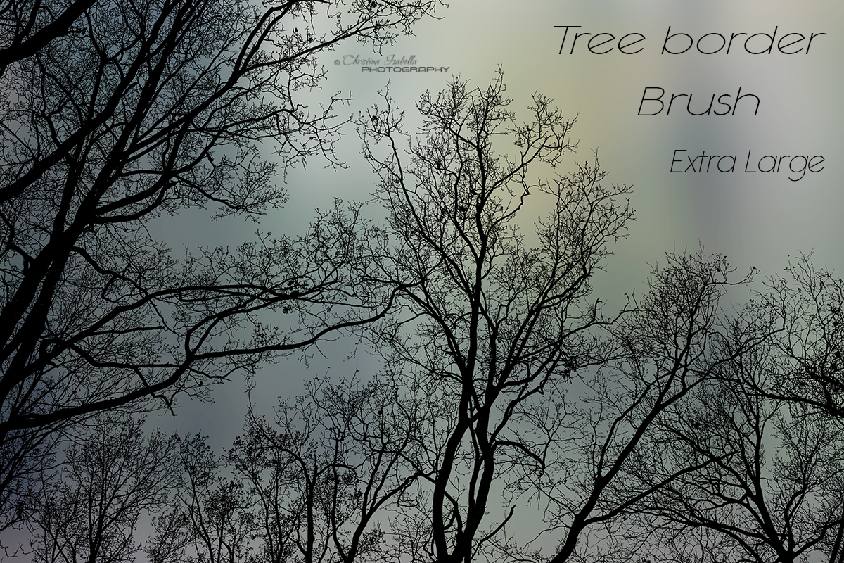 Tree border by ChristinaIsabella