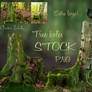 Tree boles PNG Stock