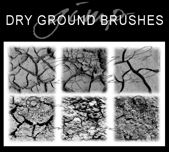 6 Dry Ground Texture Brushes