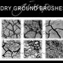 6 Dry Ground Texture Brushes