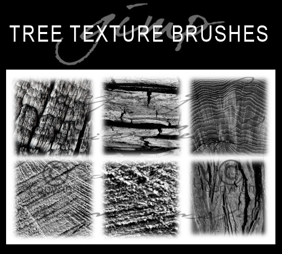 6 Tree Texture Brushes by dcmbrnite on DeviantArt