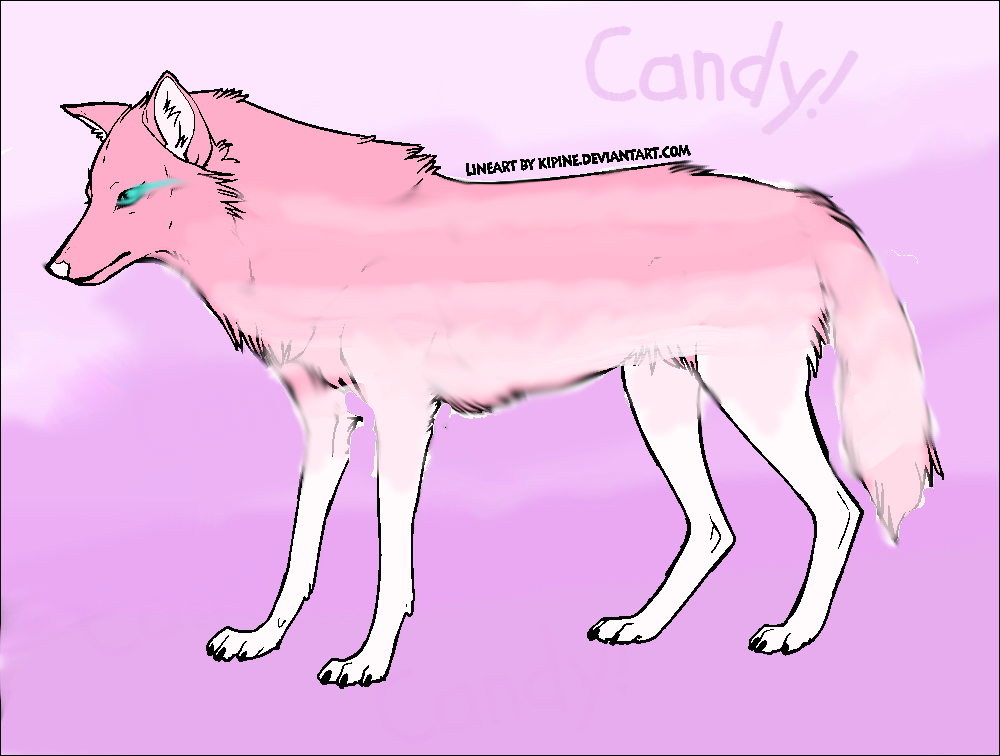 Candy the Wolf by Night79 on DeviantArt