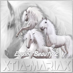Equine Beauty 2