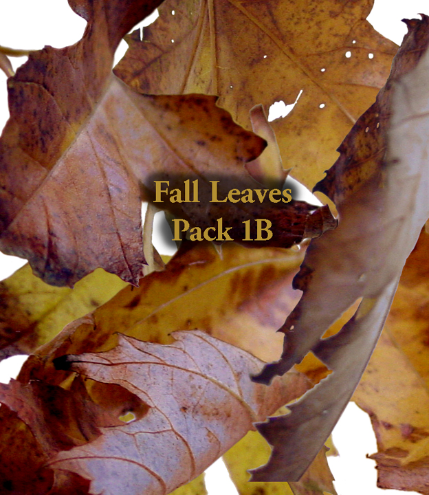 Fall Leaves pack 1B