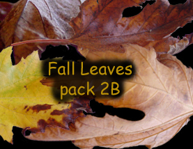 Fall Leaves pack 2b