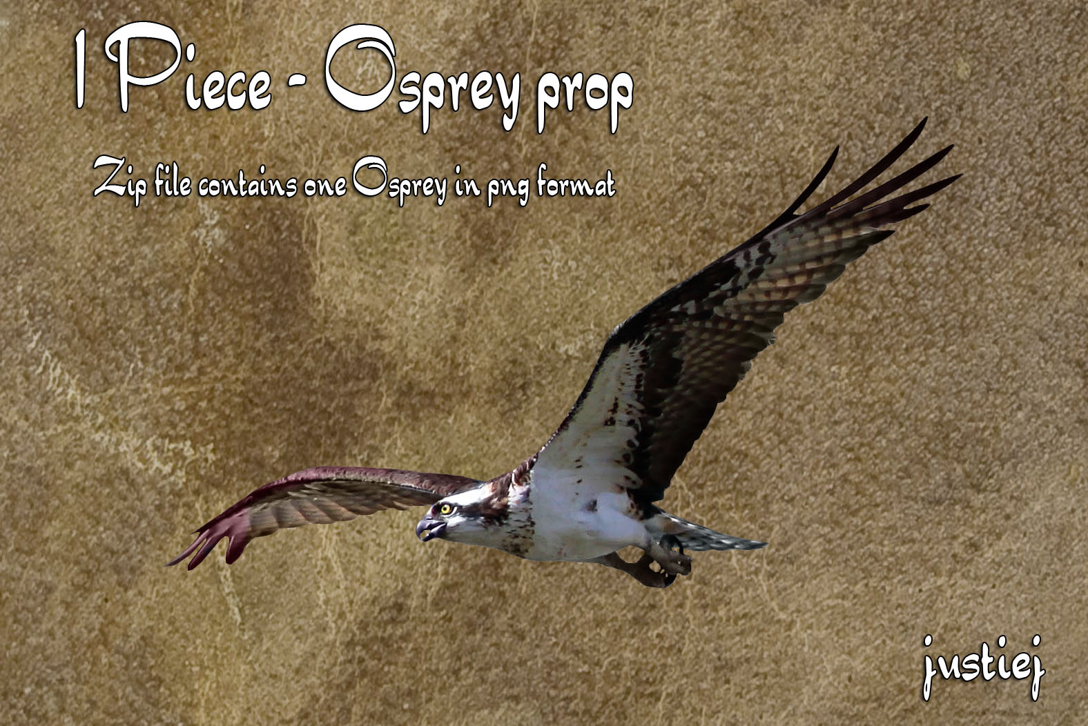 Cutout PNG - Osprey 3