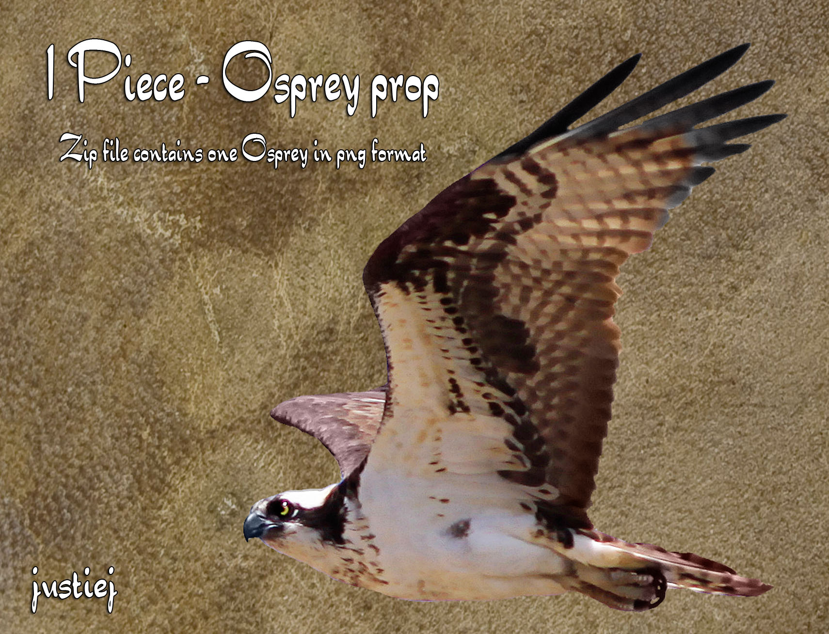 Cutout PNG - Osprey 7