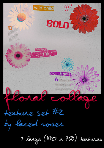 Texture Set 2- Floral Collage