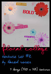 Texture Set 2- Floral Collage