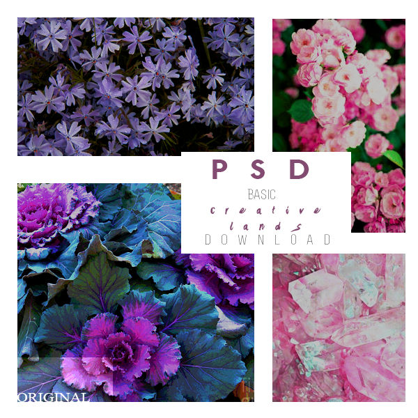 Basic by CREATIVELANDS on DeviantArt