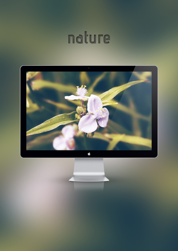 Nature 1