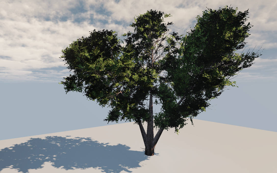 Big Tree by ovrcookedfunion on DeviantArt