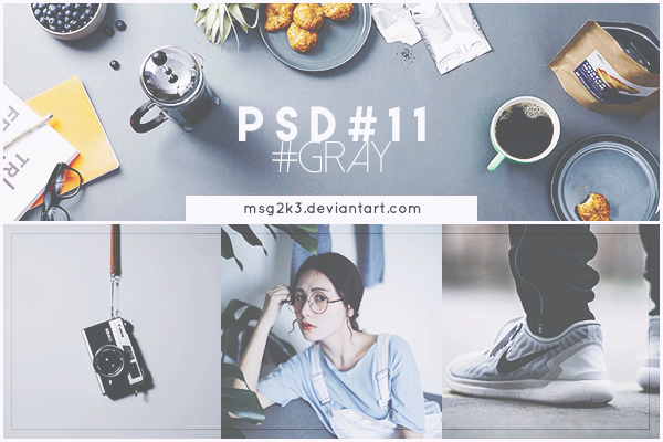 PSD #11