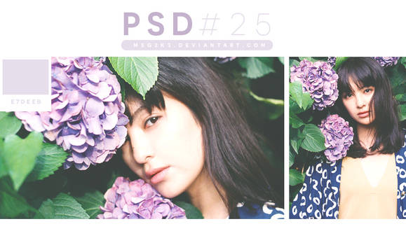 PSD #25