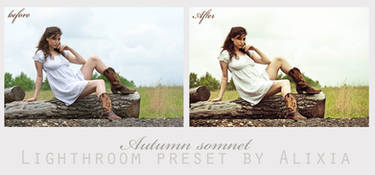 Autumn somnet free lightroom preset