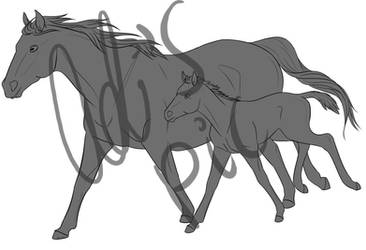 70 pt Lineart - Mare and Foal