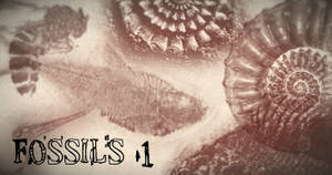 Fossils 1