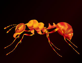 Fire Ant