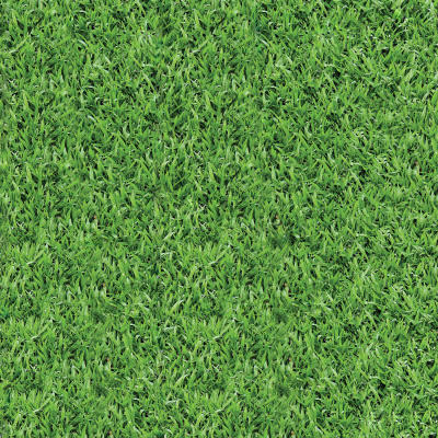 grass_pattern__tutorial_asset__by_aanderr_dava09i-fullview.jpg