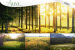 Alive - FREE photoshop action by puckrietveld