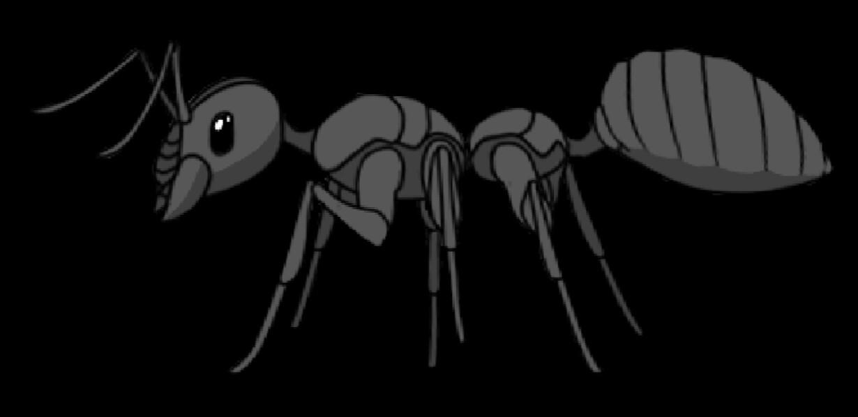 Animation Awkward Ant Walk Cycle By Ladyof7sins On Deviantart