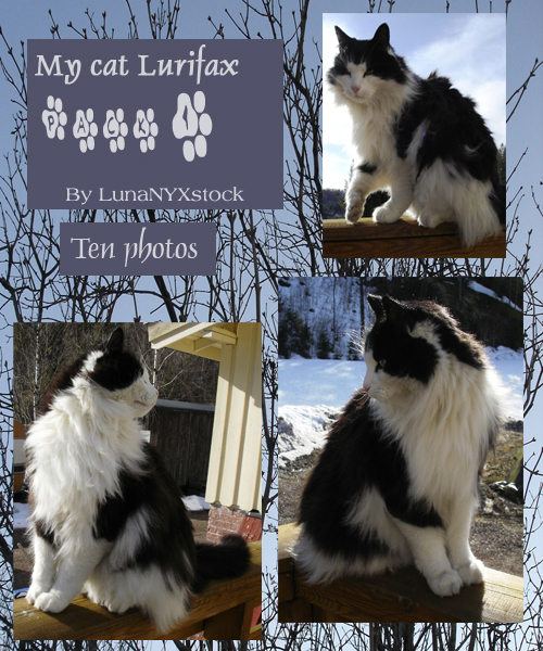 My cat Lurifax, pack 01