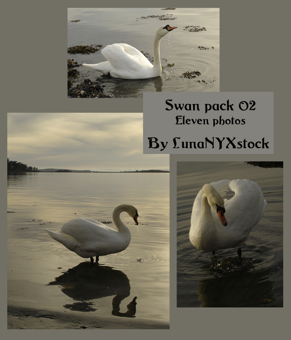 Swan pack - 02