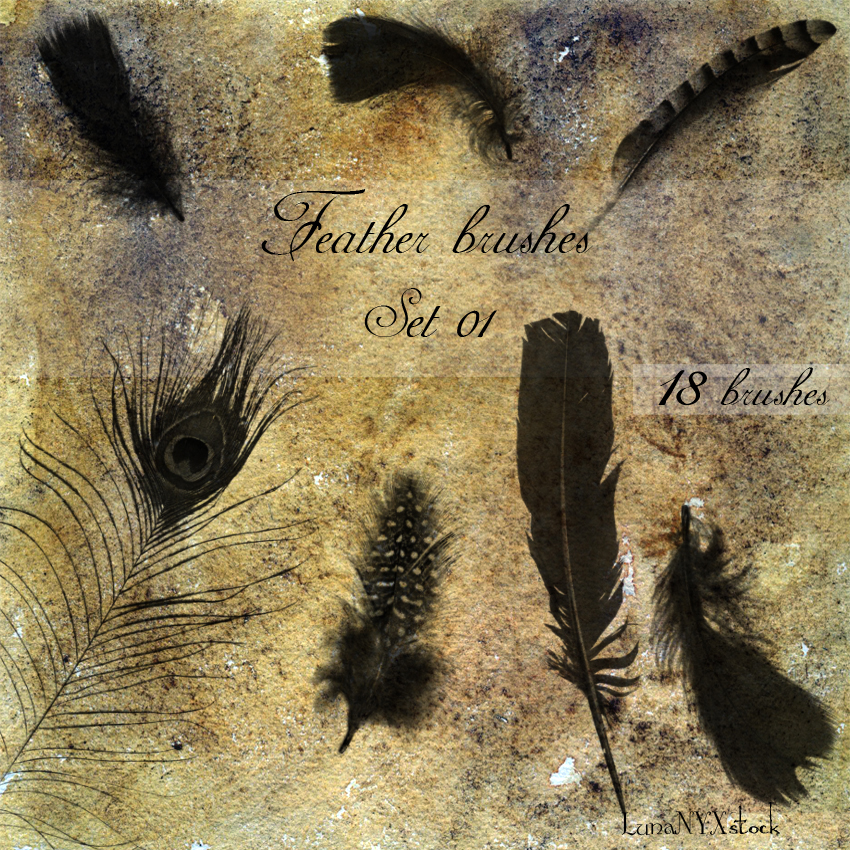 Feather brushes - set 01