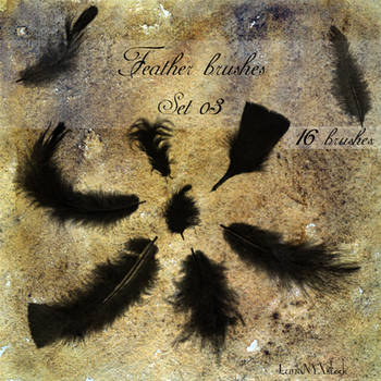 Feather brushes - set 03