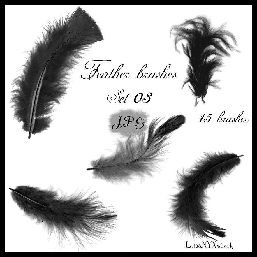 Feather brushes set 03 JPG by LunaNYXstock on DeviantArt