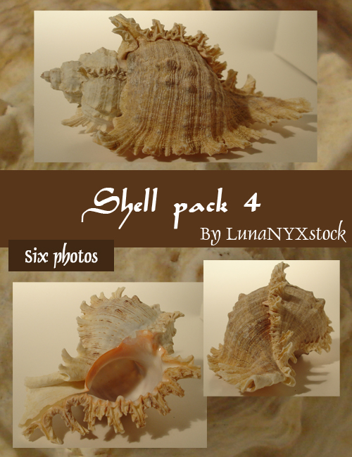 Shell pack - 4