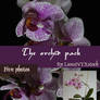 The Orchid pack
